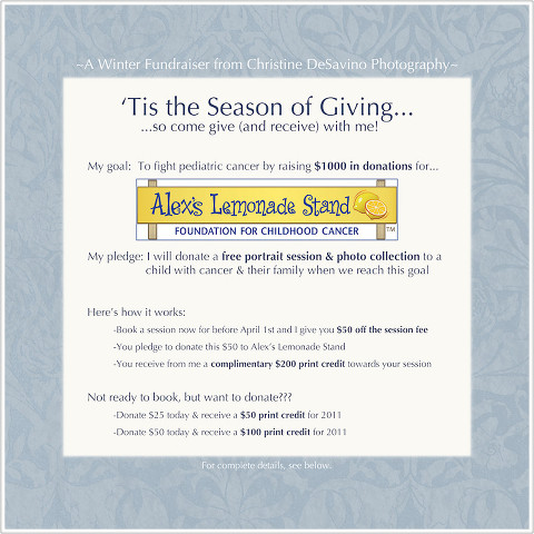 flyer for Christine DeSavino Photography's Winter Fundraiser to fight Pediatric Cancer by donating to Alex's Lemonade Stand