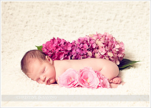 Beautiful baby girl with roses and hydrangea - NJ Baby Photographer